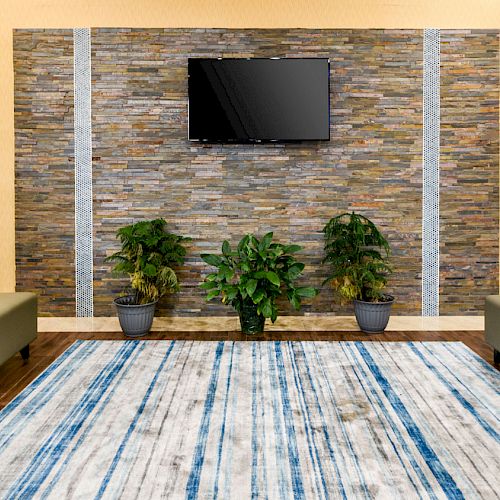 This image shows a waiting room with chairs, a blue-striped carpet, a TV on a stone wall, three potted plants, and a magazine rack in the corner.