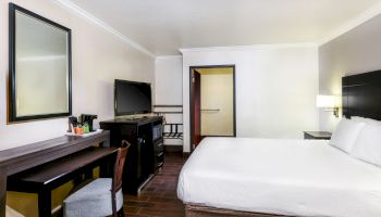 A neat hotel room with a bed, TV, desk, chair, mirror, and a door leading to the bathroom.