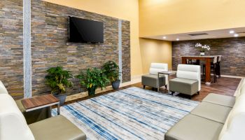 A contemporary lounge area features a stone accent wall with a mounted TV, white seating, plants, a blue-striped rug, and a dining table.